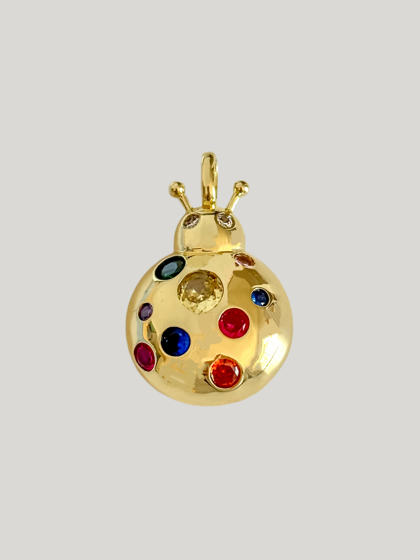 Splendid ladybug Charm