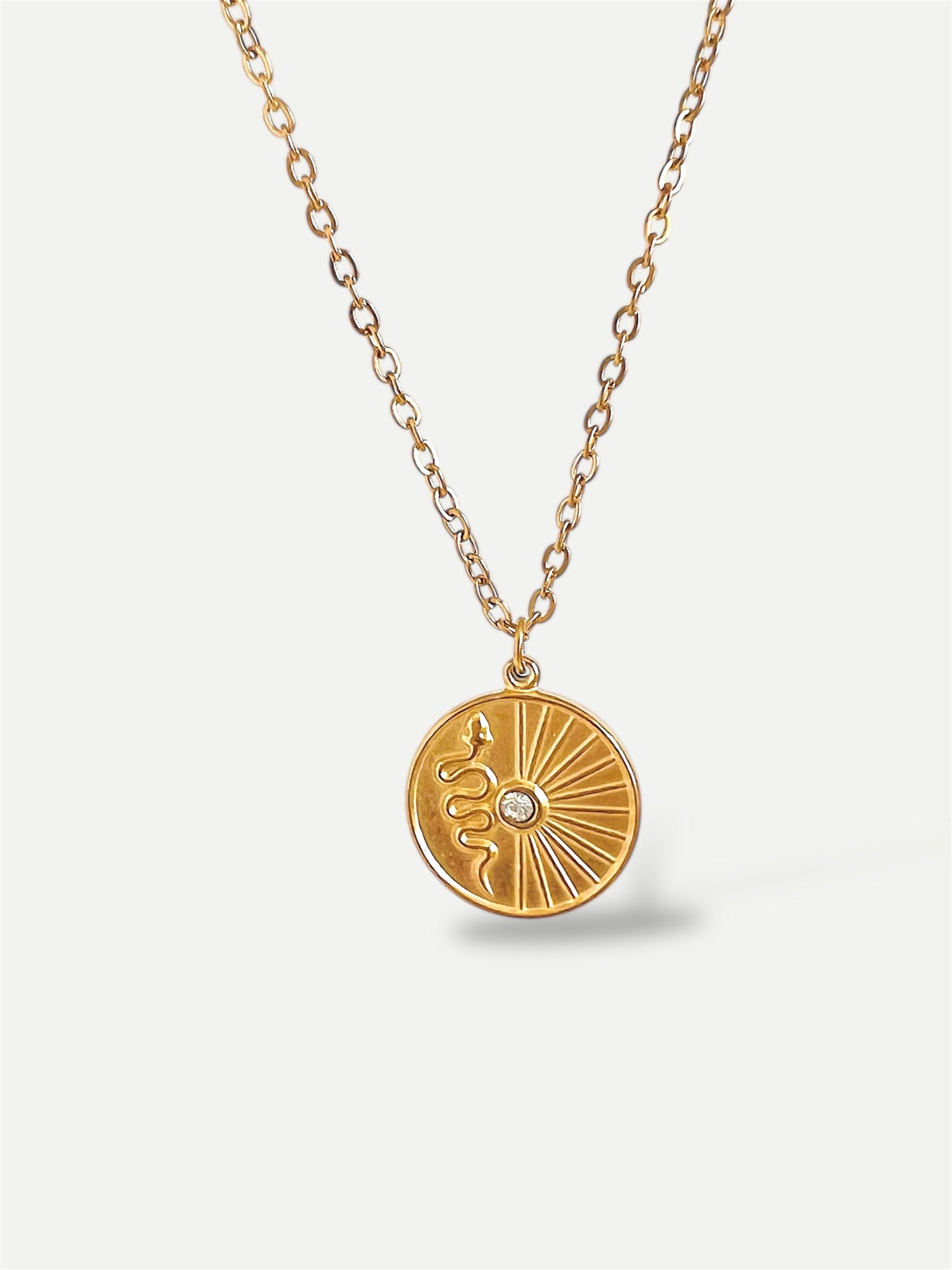 Snake medallion necklace