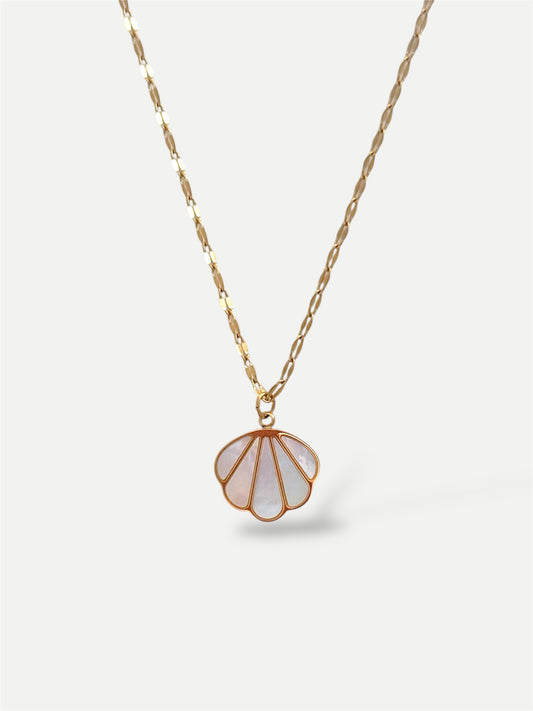 Bay shell necklace
