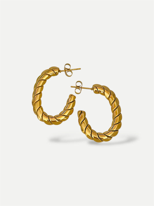 Oval Hoops Earrings