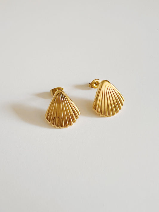 Shell Stud Earrings