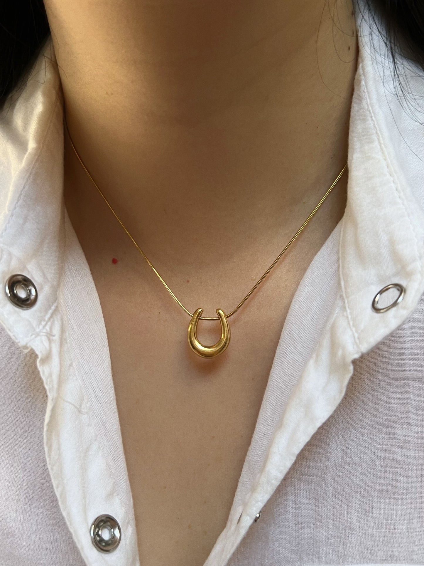 Horseshoe necklace