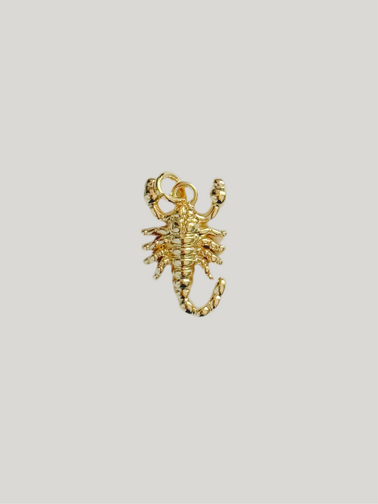 Scorpion charm