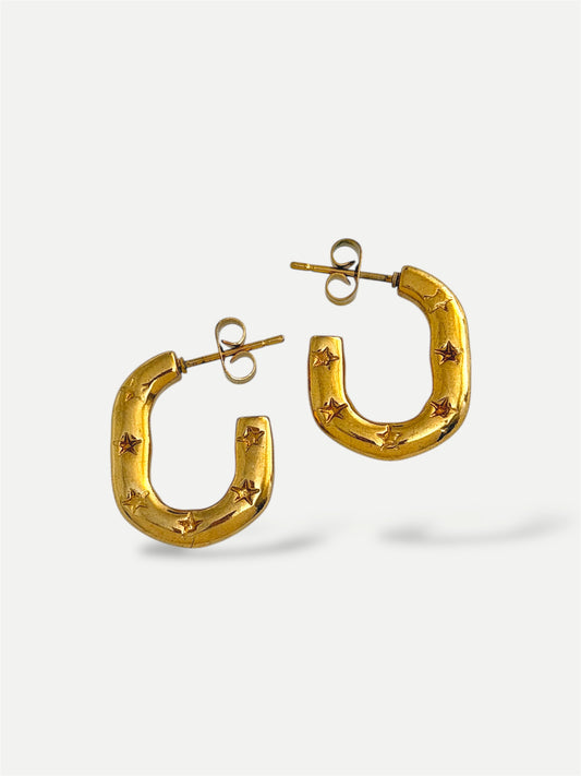 Tamara earrings