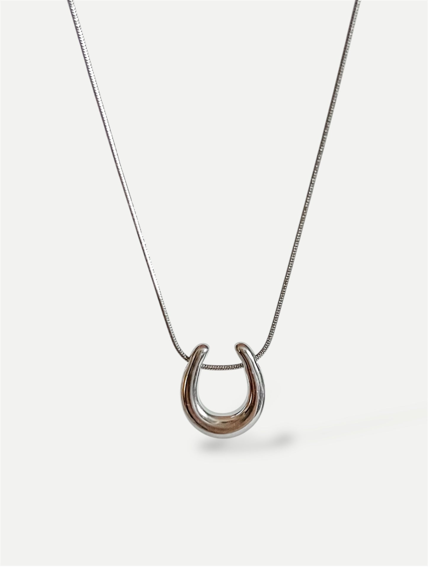 Horseshoe necklace