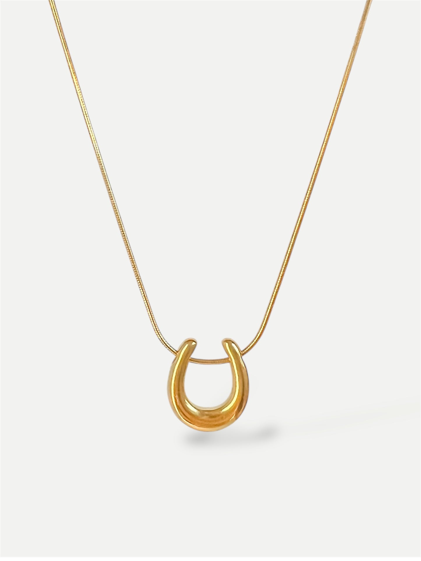 Horseshoe necklace