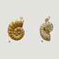 Sea life charms: snail shell