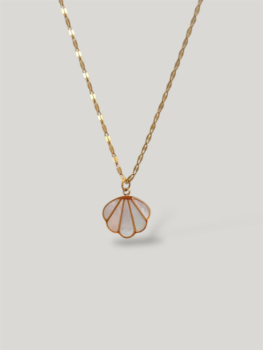 Bay shell necklace